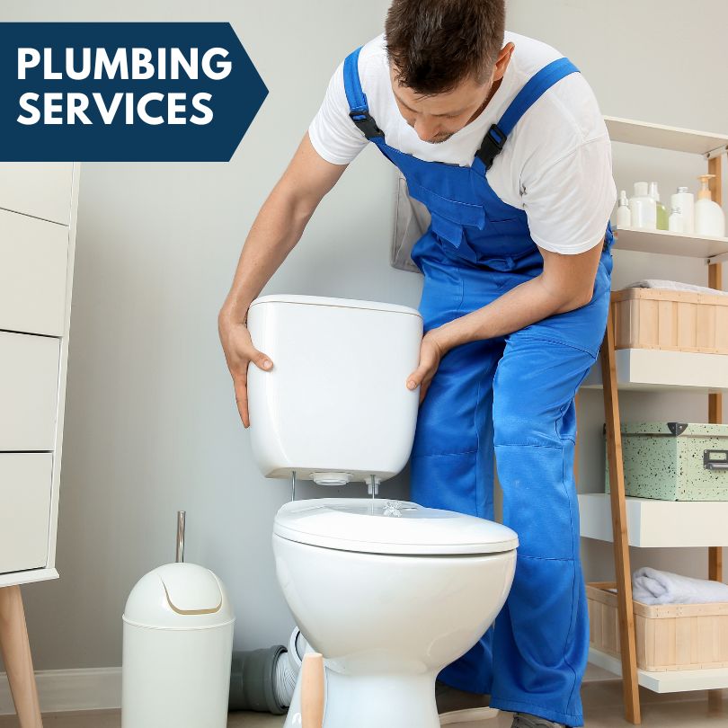 Plumbing Company in Emmons, MN